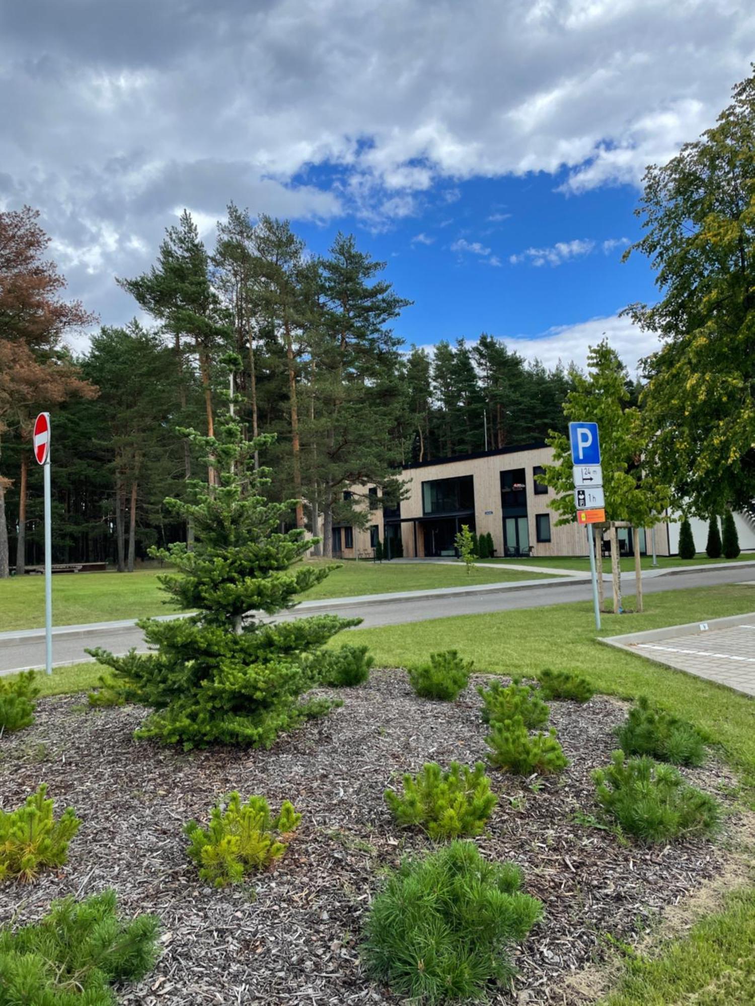 11 Pine View Apartment Ķesterciems Екстериор снимка